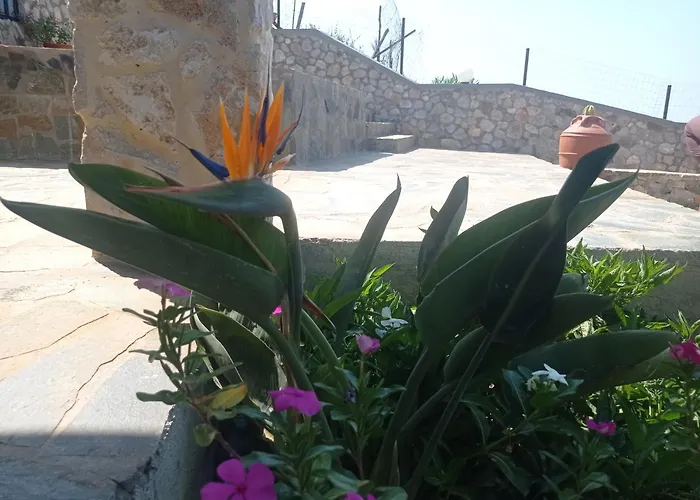 Tassos בית נופש *